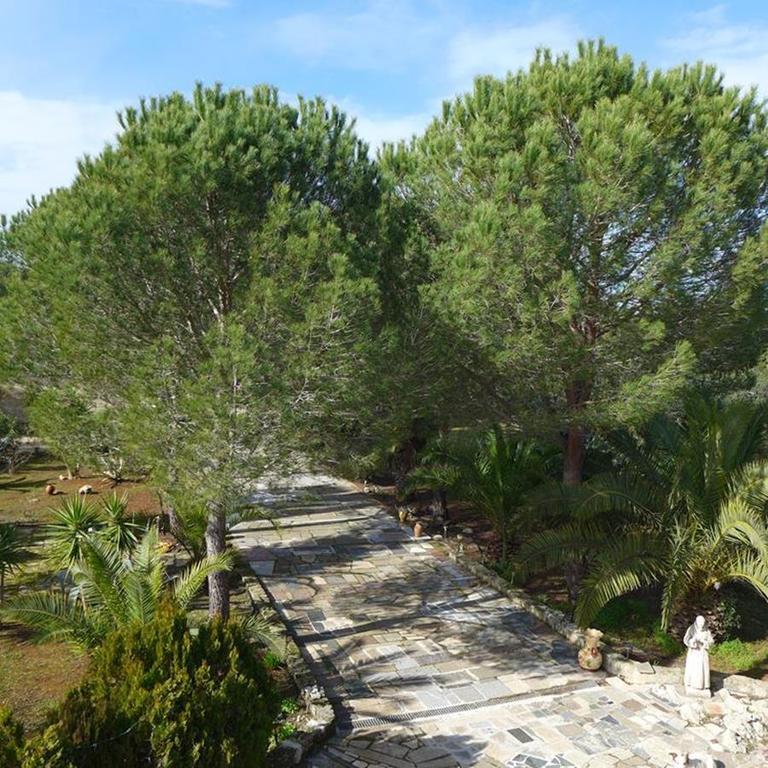 Casa Christina Leilighet Galatone Rom bilde